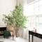 8ft. Artificial Grand Olive Tree in White Decorative Planter